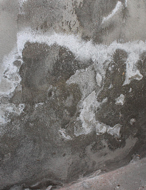 Traitement humidité à Cabourg (14390) – NORMANDIE HUMIDE dans les Calvados (14)