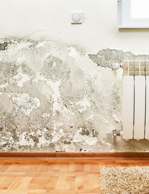 Traitement humidité à Cabourg (14390) – NORMANDIE HUMIDE dans les Calvados (14)